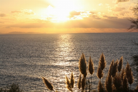 Beach sea coast sand Photo