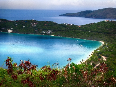 Beach sea coast water Photo