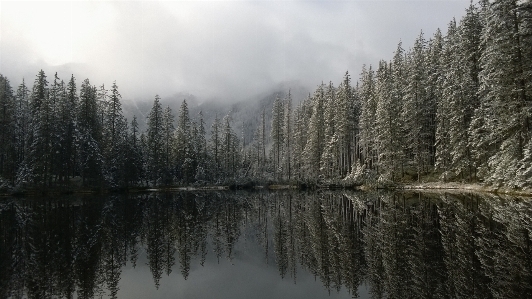 Landscape tree water nature Photo