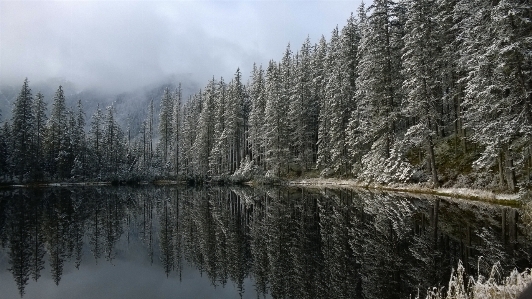 Landscape tree water nature Photo