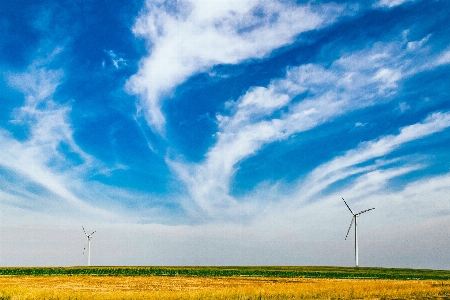 Grass horizon cloud sky Photo