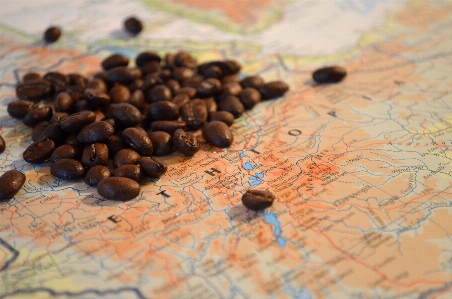 Coffee food produce africa Photo