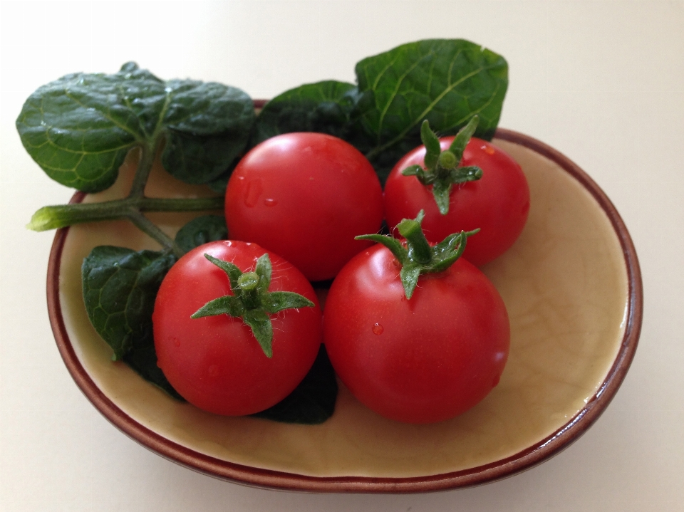 Plant fruit dish food