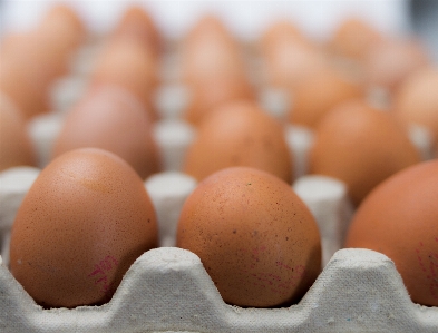 Food baking egg package Photo