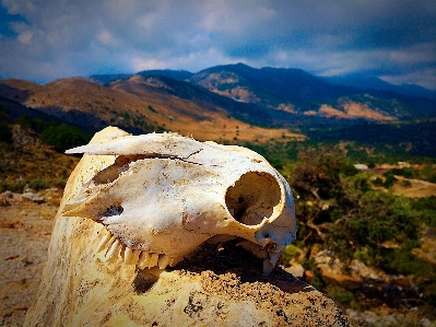 Foto Lanskap laut alam rock