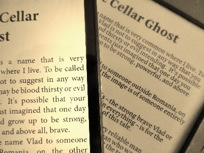 Foto Menulis buku membaca kindle