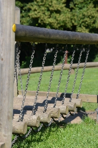 Grass fence lawn play Photo