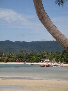 Beach sea coast water Photo