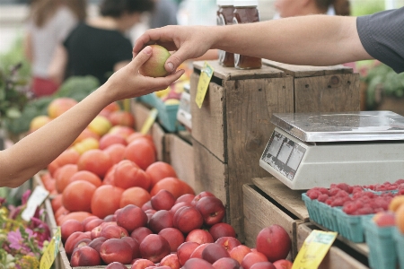 Plant fruit food vendor Photo