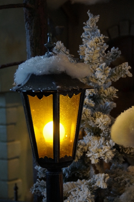 Luz noite flor lanterna