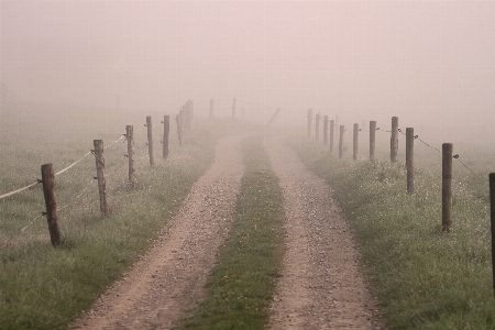 Landscape horizon fog mist Photo