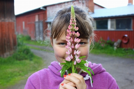 Man girl hair flower Photo