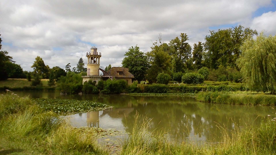 Paisagem árvore água natureza