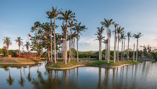 Landscape tree water dock Photo