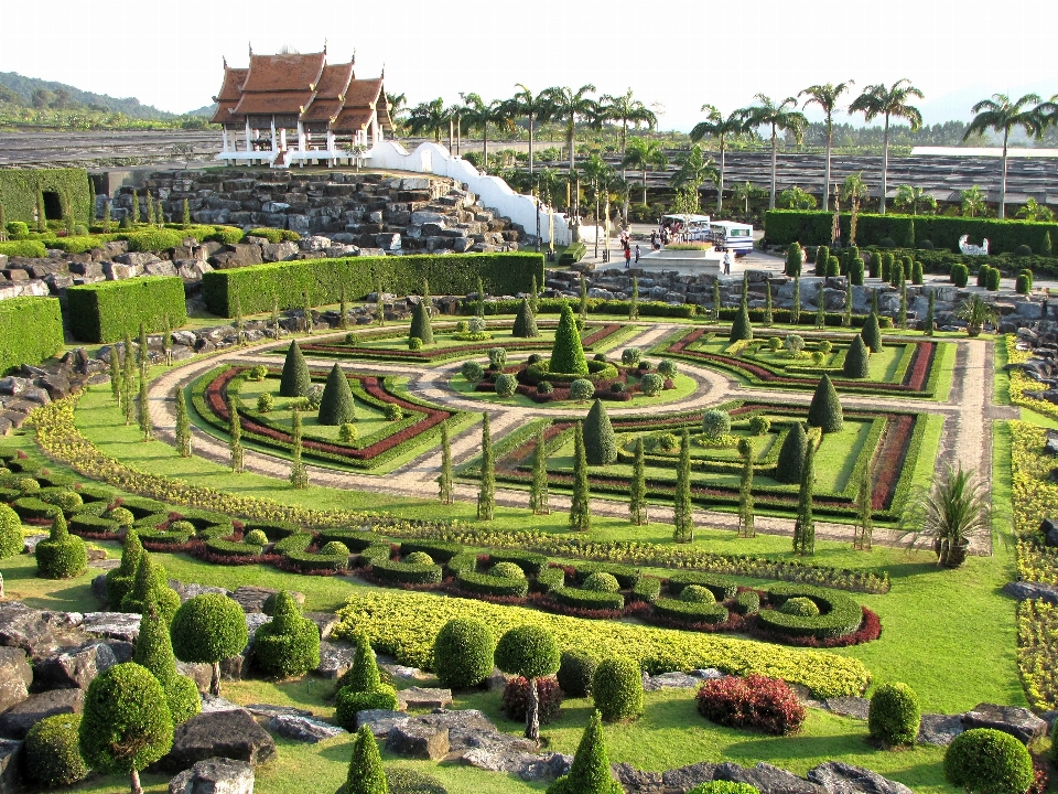 Landscape field farm lawn