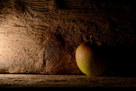 Apple 树 光 木头 照片