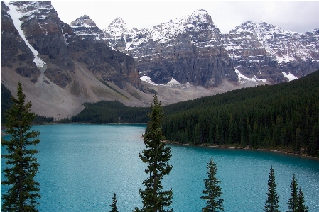 Nature forest mountain snow Photo