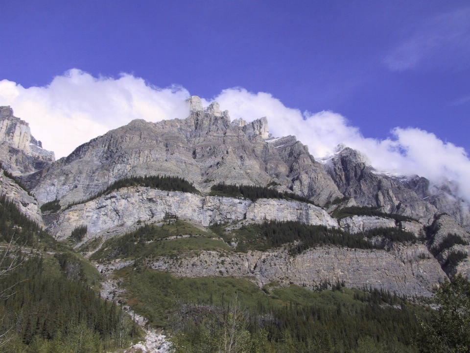 Landschaft natur wildnis
 gehen