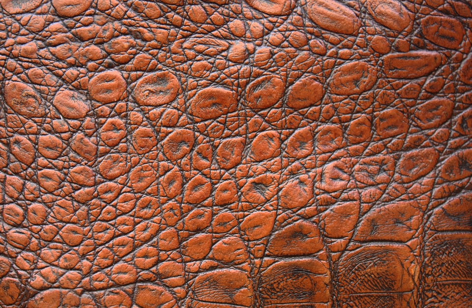 Rock wood leather texture