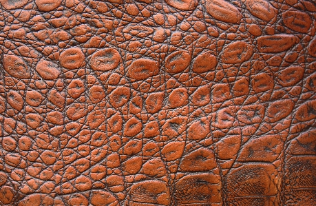 Rock wood leather texture Photo