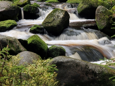 Landscape tree water nature Photo