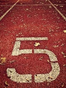 Sport floor run number Photo