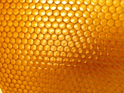 Orange pattern pollen produce Photo