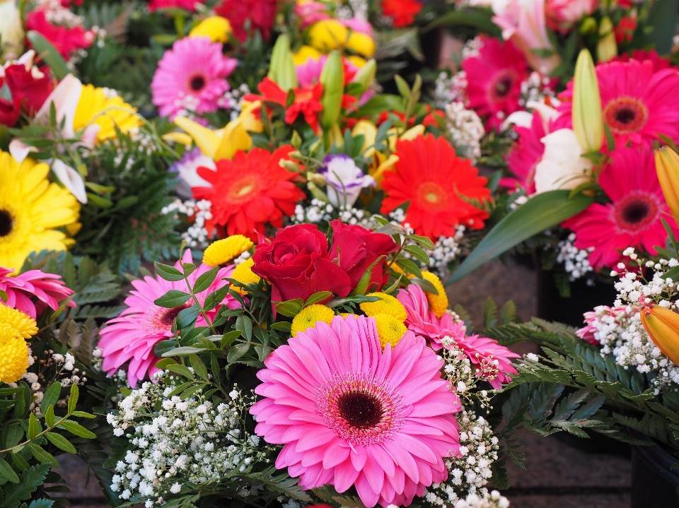 Usine fleur pétale bouquet