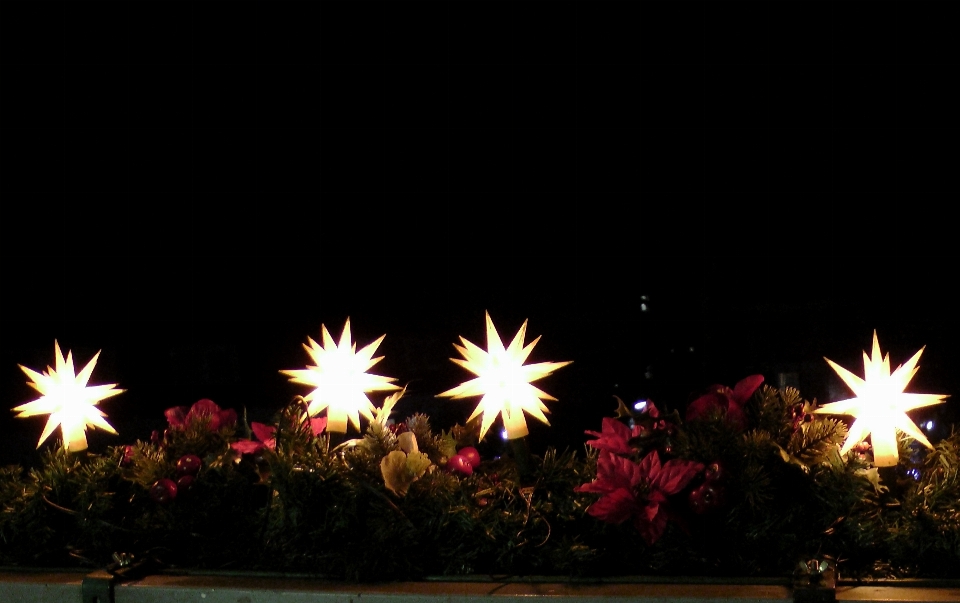 Light night flower sparkler