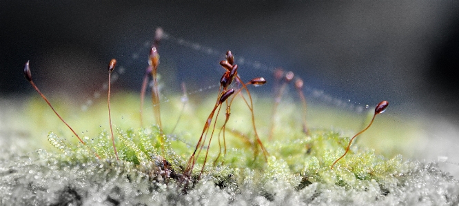 Landscape water nature grass Photo