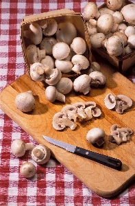 Mahlzeit essen salat kochen Foto