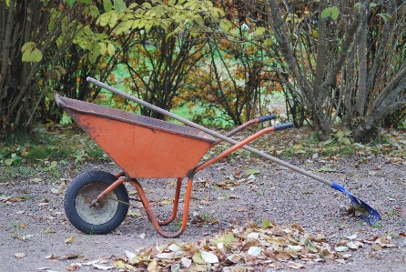 Rasen wagen laub fahrzeug Foto