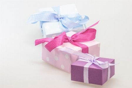 Flower petal gift pink Photo