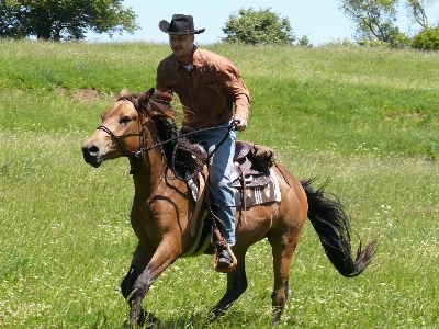 Farm countryside country male Photo