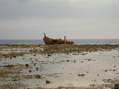 Beach sea coast water Photo