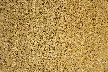 Sand structure wood texture Photo