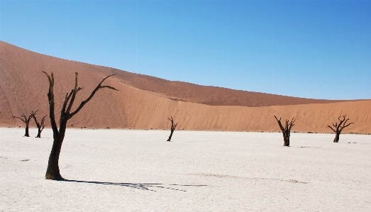 Landscape sand desert dune Photo