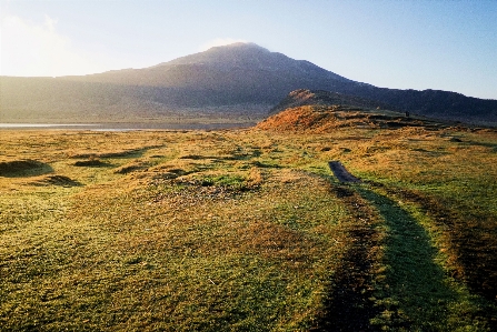 Landscape nature grass horizon Photo