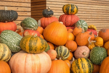 Foto Estrutura plantar decoração laranja