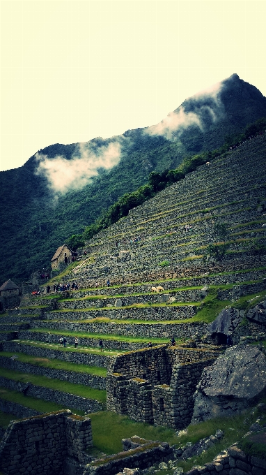 景观 自然 rock 山