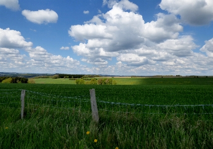 Landscape nature grass horizon Photo