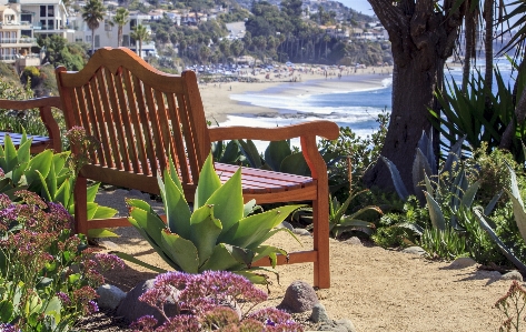 Beach landscape nature bench Photo