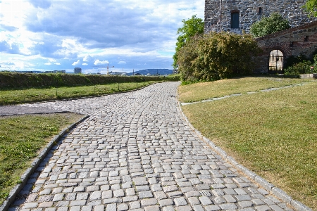 Grass road lawn sidewalk Photo