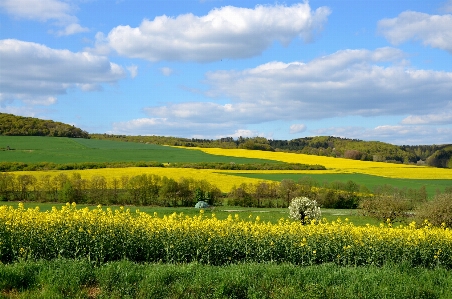 Landscape nature grass horizon Photo