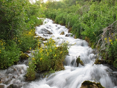 Zdjęcie Krajobraz woda natura las