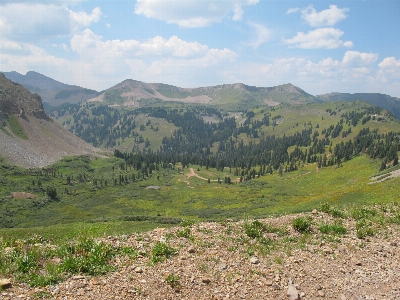 Landscape nature forest grass Photo