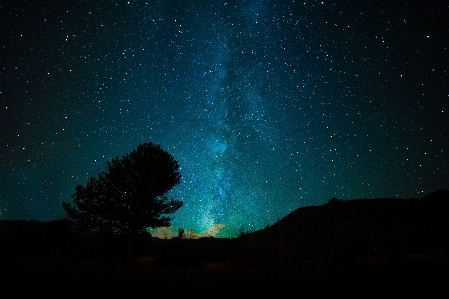 木 空 夜 星 写真