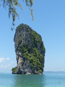 Beach sea coast tree Photo