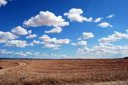 Foto Paisagem caminho ar livre horizonte