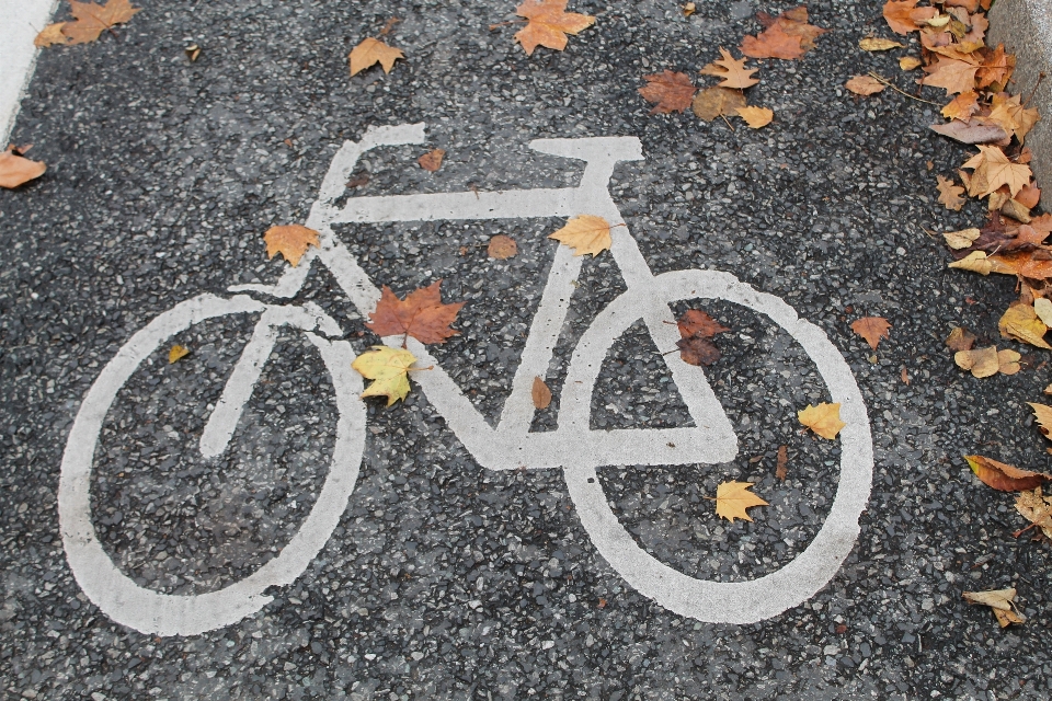 Camino rueda bicicleta asfalto
